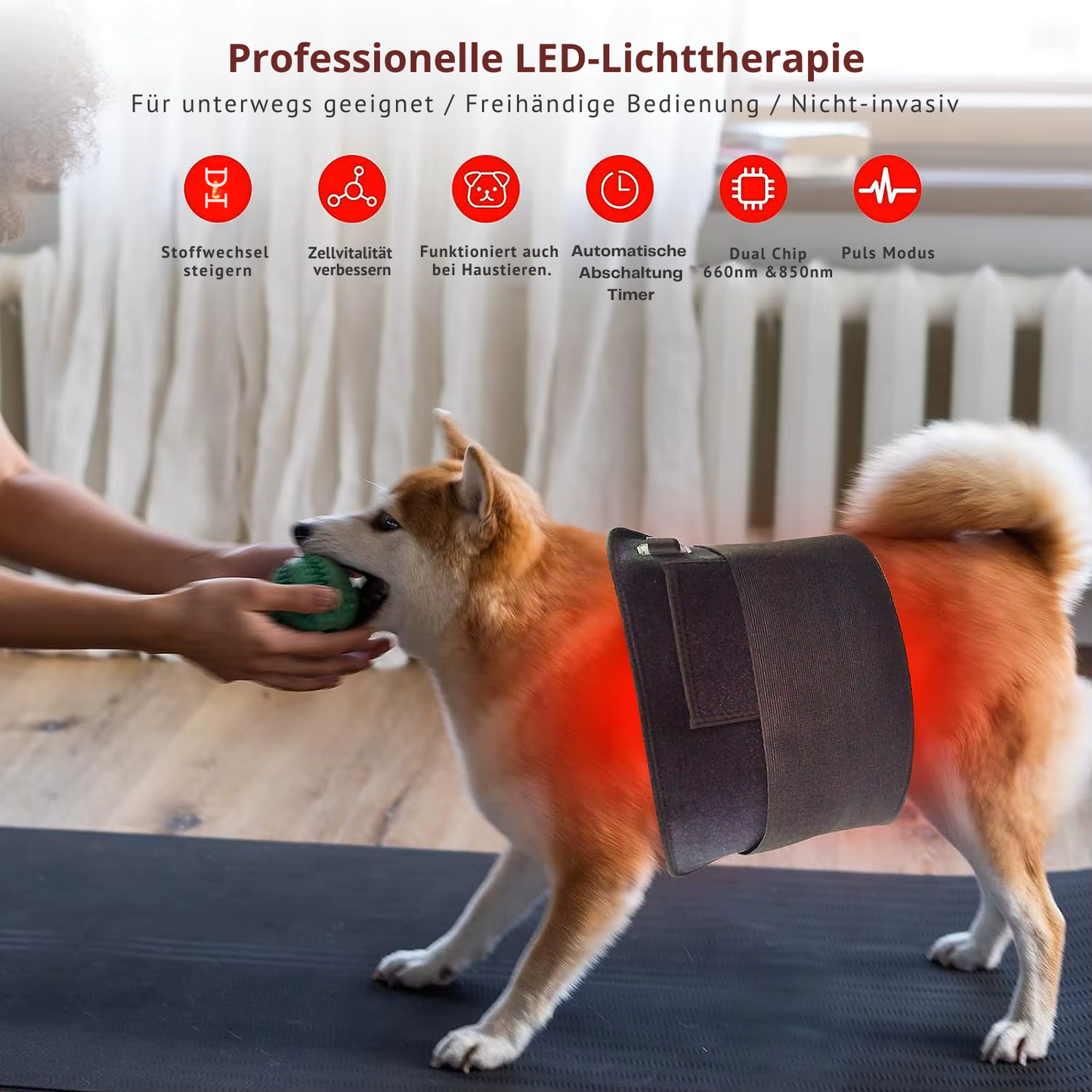 Infrarot-Lichttherapie-Pad für Mensch und Tier